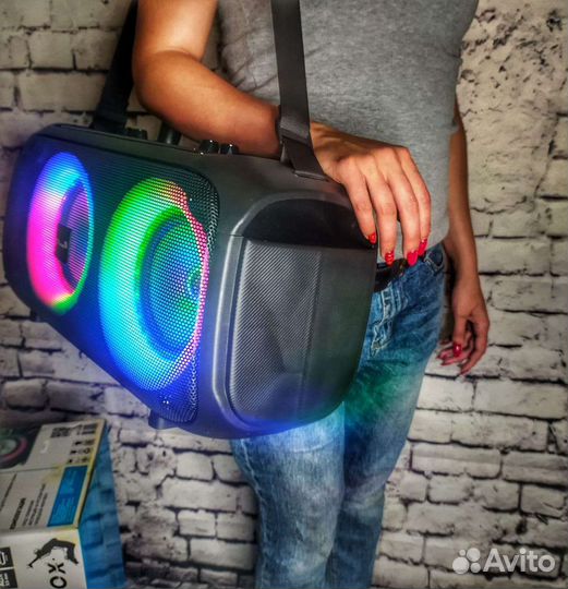 Колонка Eltronic 20-04