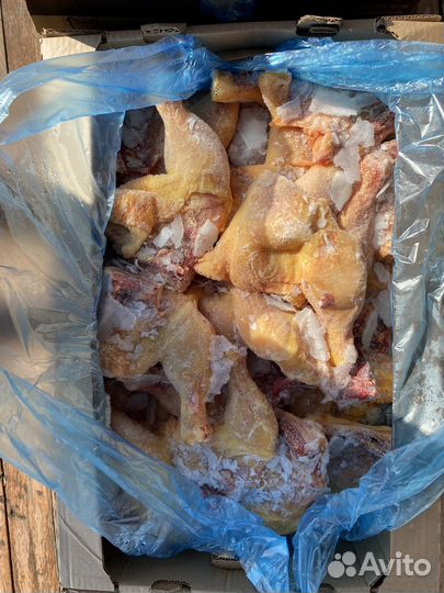 Окорочка куриные