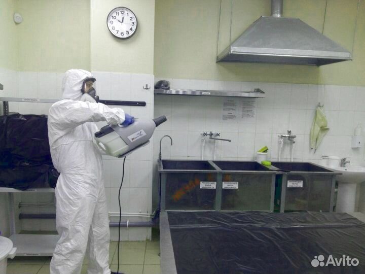 Уничтожение клопов, тараканов, клещей и муравьев