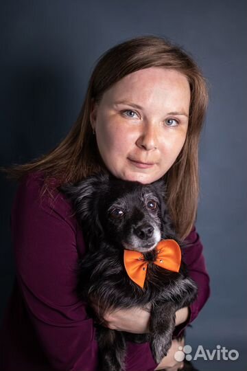 Одежда для собак всех пород