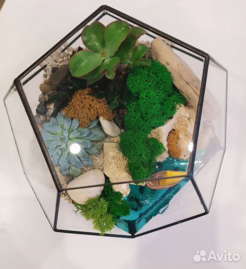 Флорариум. Подарок. Цветы