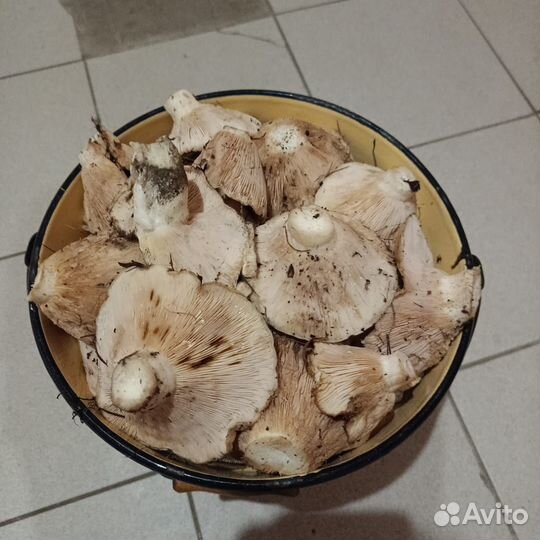 Продуты питания