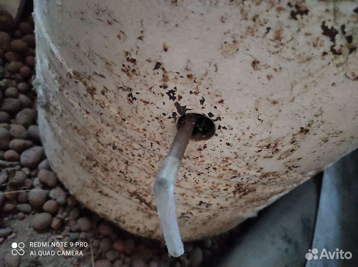 Самогонный дистиллятор