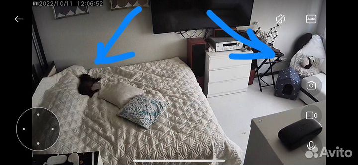 Домик для кота\собаки