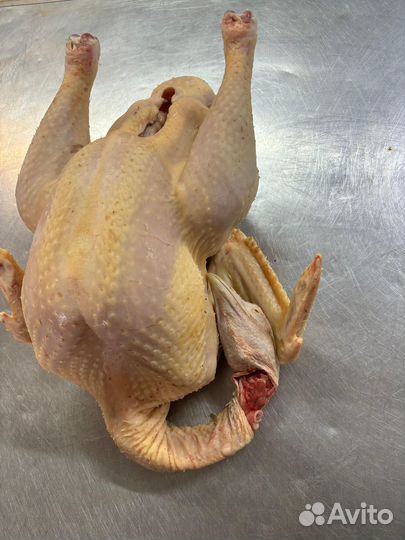Индейка халяль