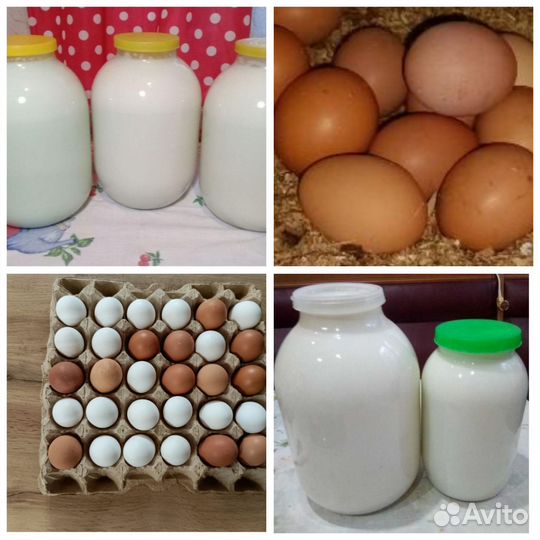 Яйцо от домашних кур.Козье молоко