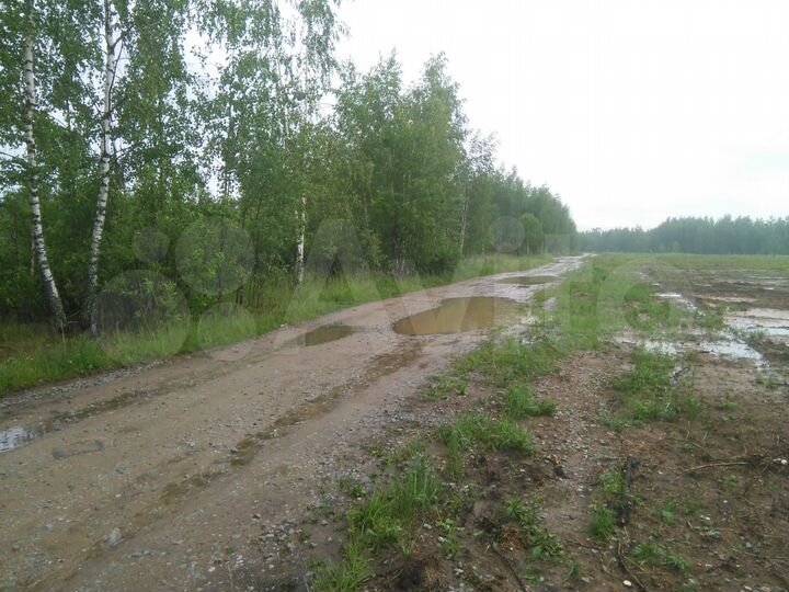 Участок 11 сот. (ИЖС)