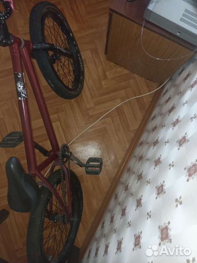 Bmx wethepeople crysis 2018