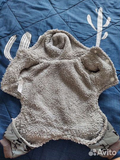 Костюмчик на чихуахуа, на мальчика теплый