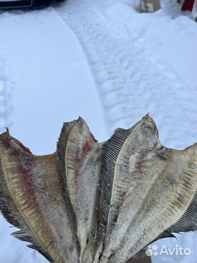 Камбала ерш вяленый