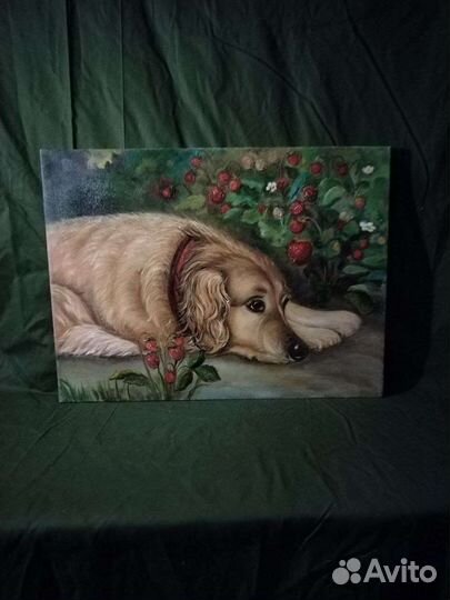 Картина маслом(Сделаем50процСкид)хол,Спаниель45х60