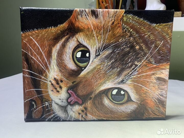 Картина в интерьер,милый котик’’