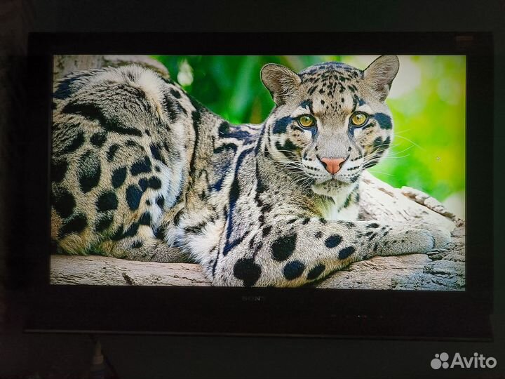 Телевизор sony Bravia kdl40l4000