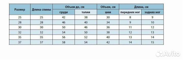 Одежда для маленьких собак зима