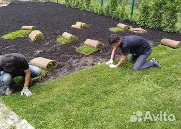 Газон от производителя