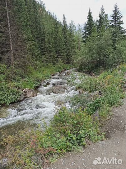 Тур на Алтай 