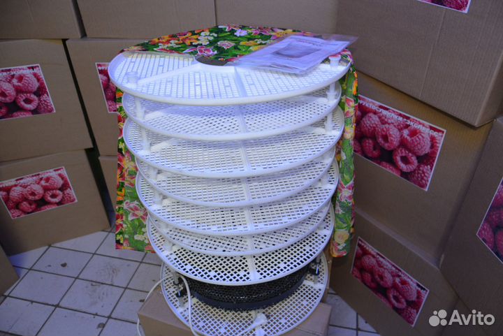 Фруктосушилки Экспресс абрикосы, яблоки, груши и т