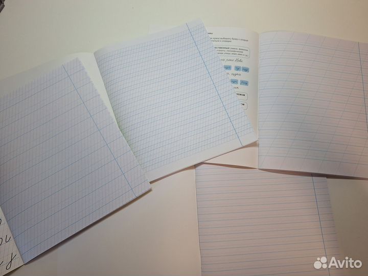 Тетради Мазиной, комплект