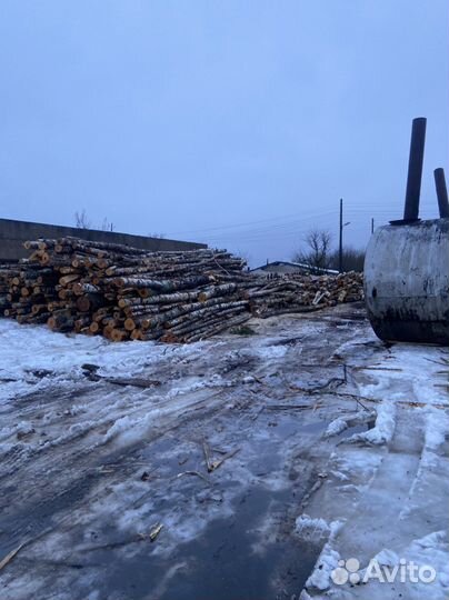 Уголь березовый в Твери