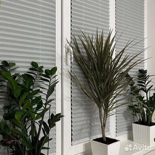 Шторы плиссе