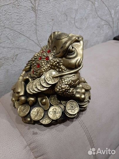 Лягушка большая денежная