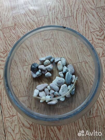 Шар аквариум и ракушки