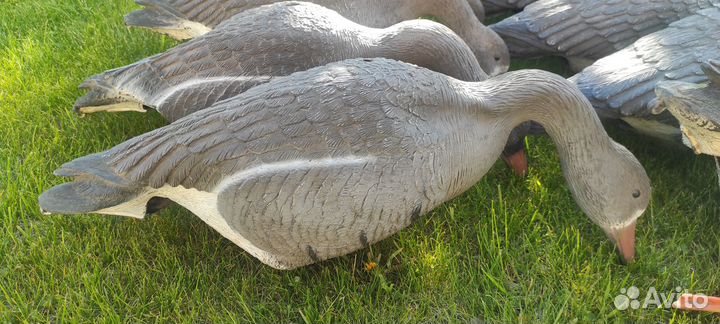 Чучела гусей sport plast