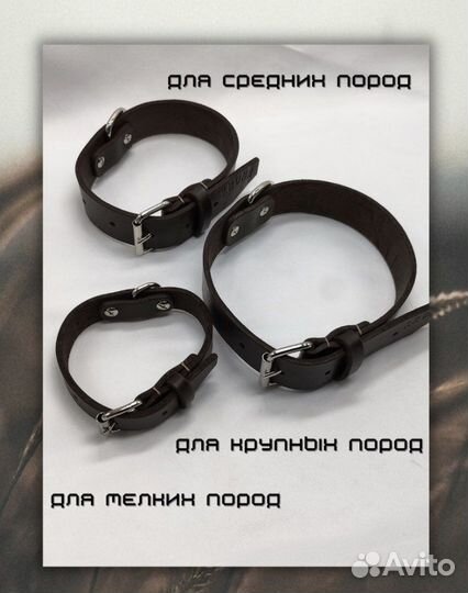 Ошейник для собак цельная кожа