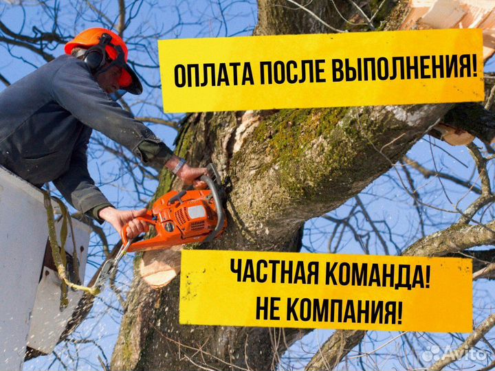 Спил деревьев Обрезка деревьев