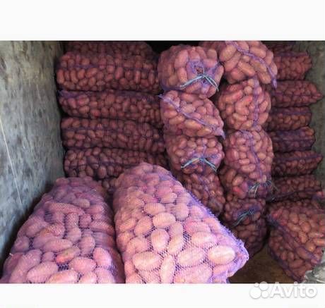 Картофель оптом