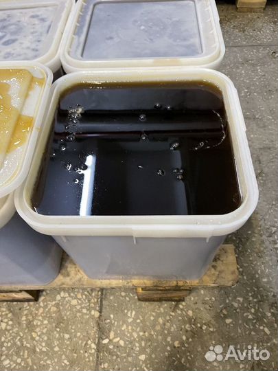 Гречишный мёд Качка 2023 Только оптом