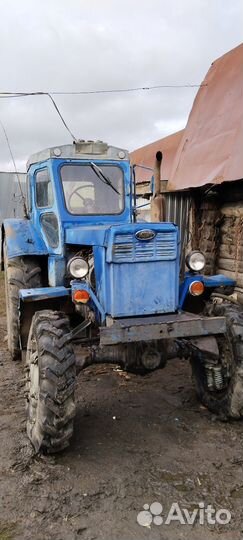 Трактор ЛТЗ Т-40AM, 1981