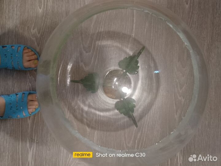 Аквариум для рыбок