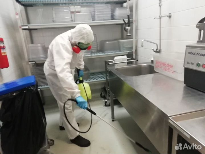 Уничтожим клопов тараканов клещей плесень запахи