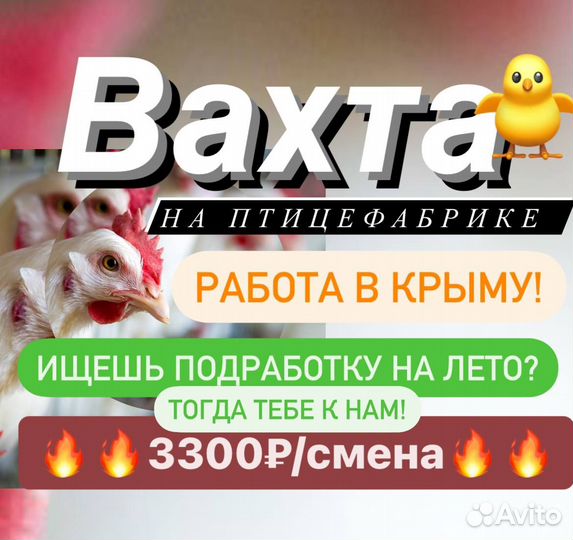 Фасовщик в Крым. Вахта