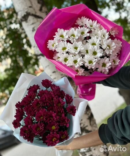 Букет из хризантем