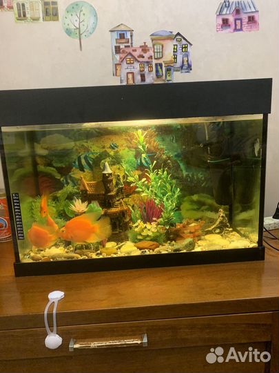 Аквариум