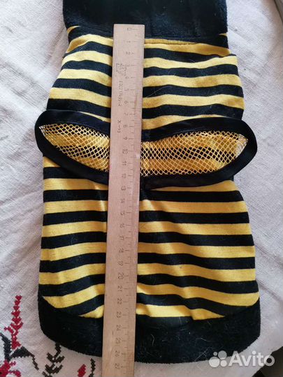 Одежда для собак