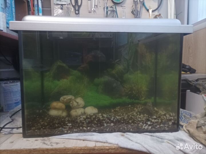 Аквариум 50 литров. Грунт, свет