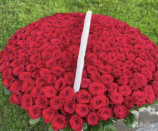 Розы Доставка