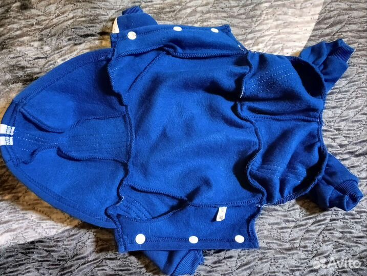 Костюм для маленькой собачки