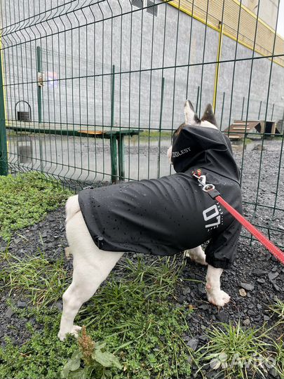Дождевик для собак 35 размер
