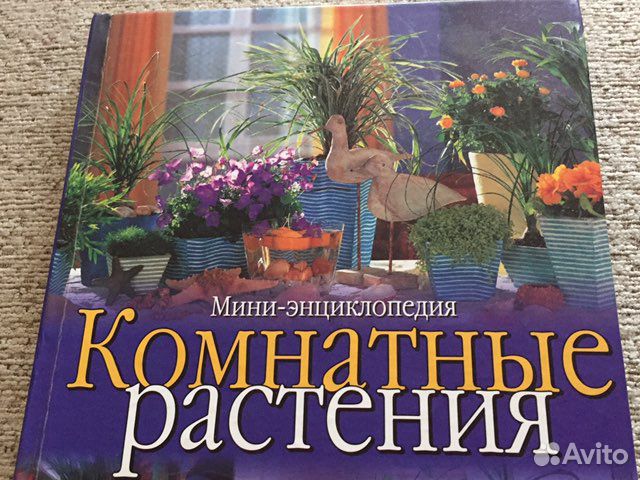 Мини- энциклопедия комнатные растения