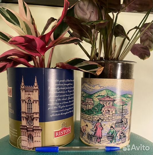 Креативный комплект: ктенанта + строманта