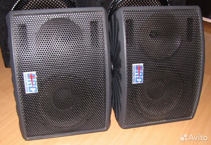 Колонки Orgacoustic 600+600W 2шт Pro 10