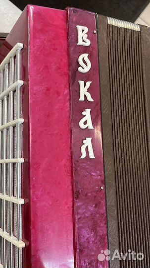 Аккордеон Вокал сиреневый