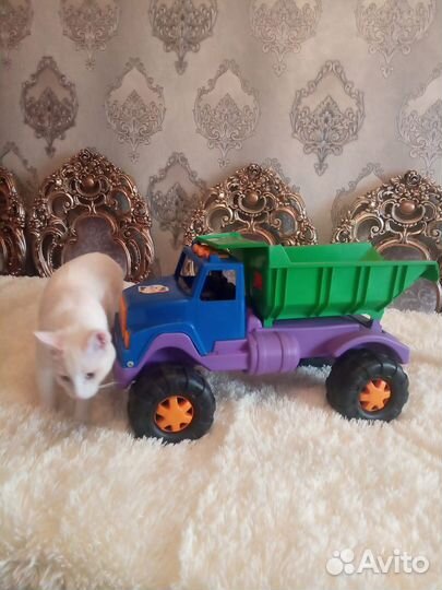 Крутой грузовик