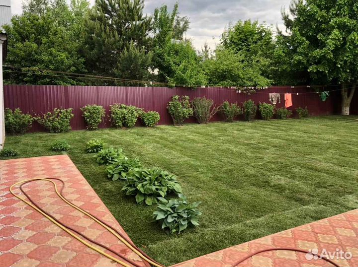 Укладка газона