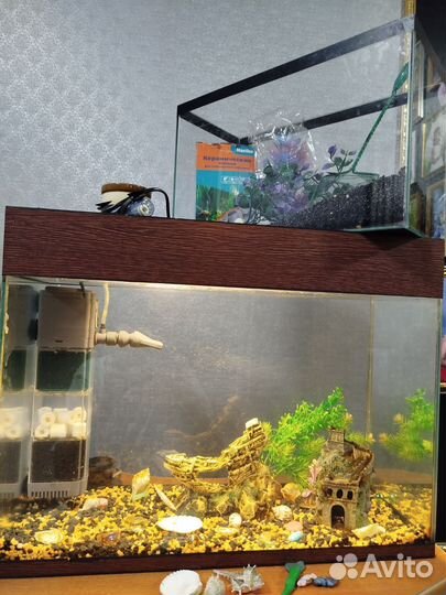 Аквариум