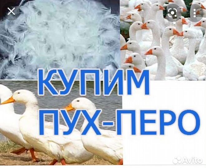 Пух, перо